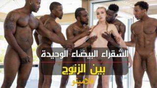 حفلة نيك السود – سكس جماعي مترجم